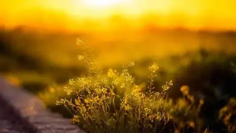 王者荣耀盾山S41赛季技能升级解析：团战核心辅助崛起-leyu.乐鱼电竞